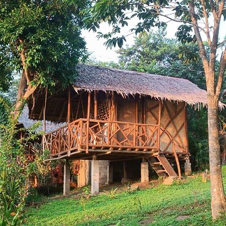 Erlittop Nature Lodge 엘니도 외부 사진