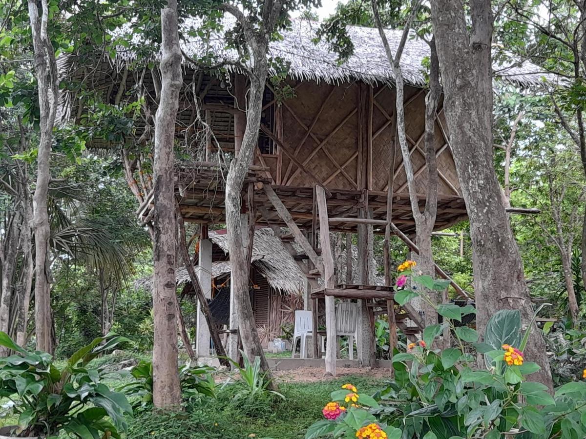 Erlittop Nature Lodge 엘니도 외부 사진