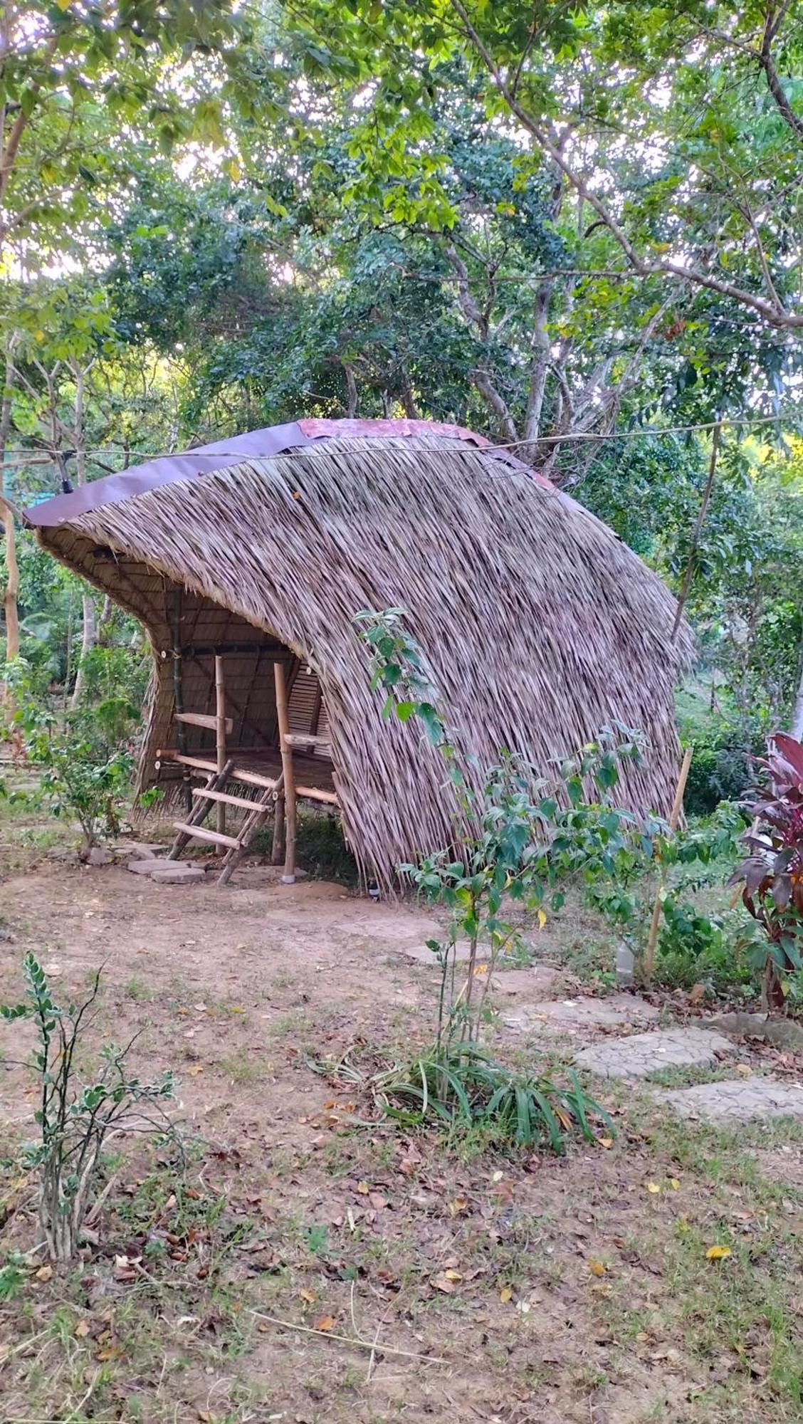 Erlittop Nature Lodge 엘니도 외부 사진