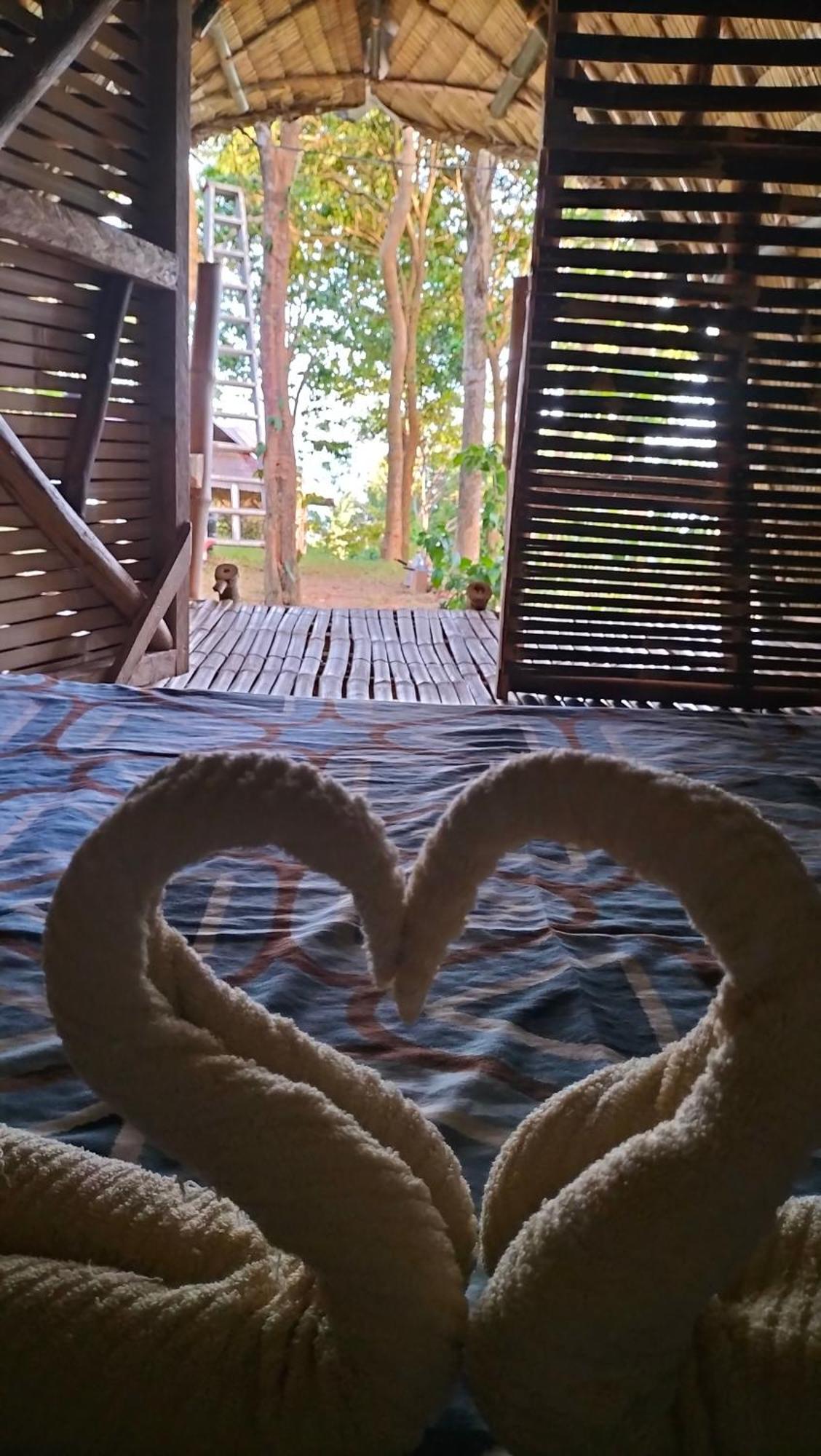 Erlittop Nature Lodge 엘니도 외부 사진