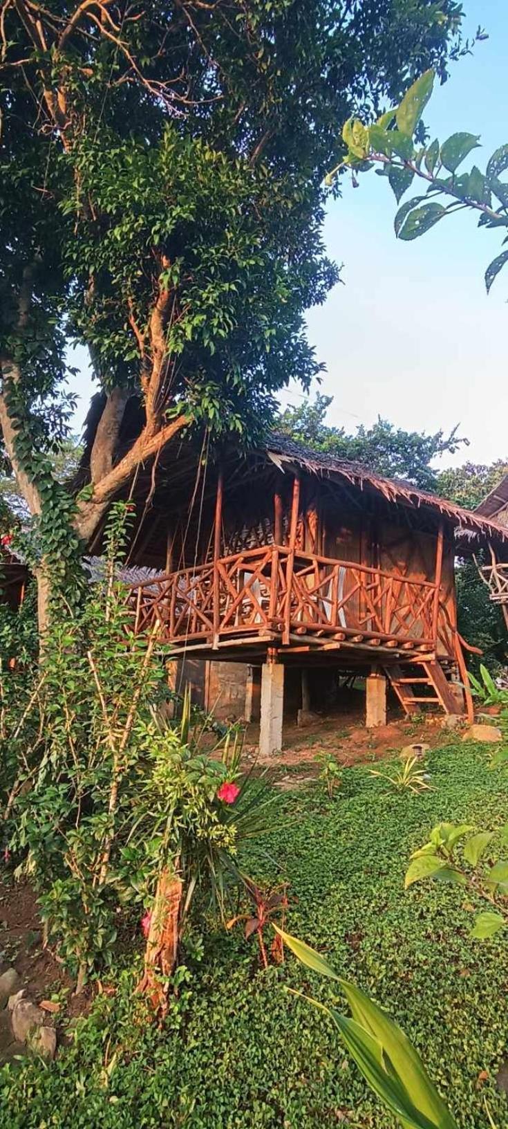 Erlittop Nature Lodge 엘니도 외부 사진