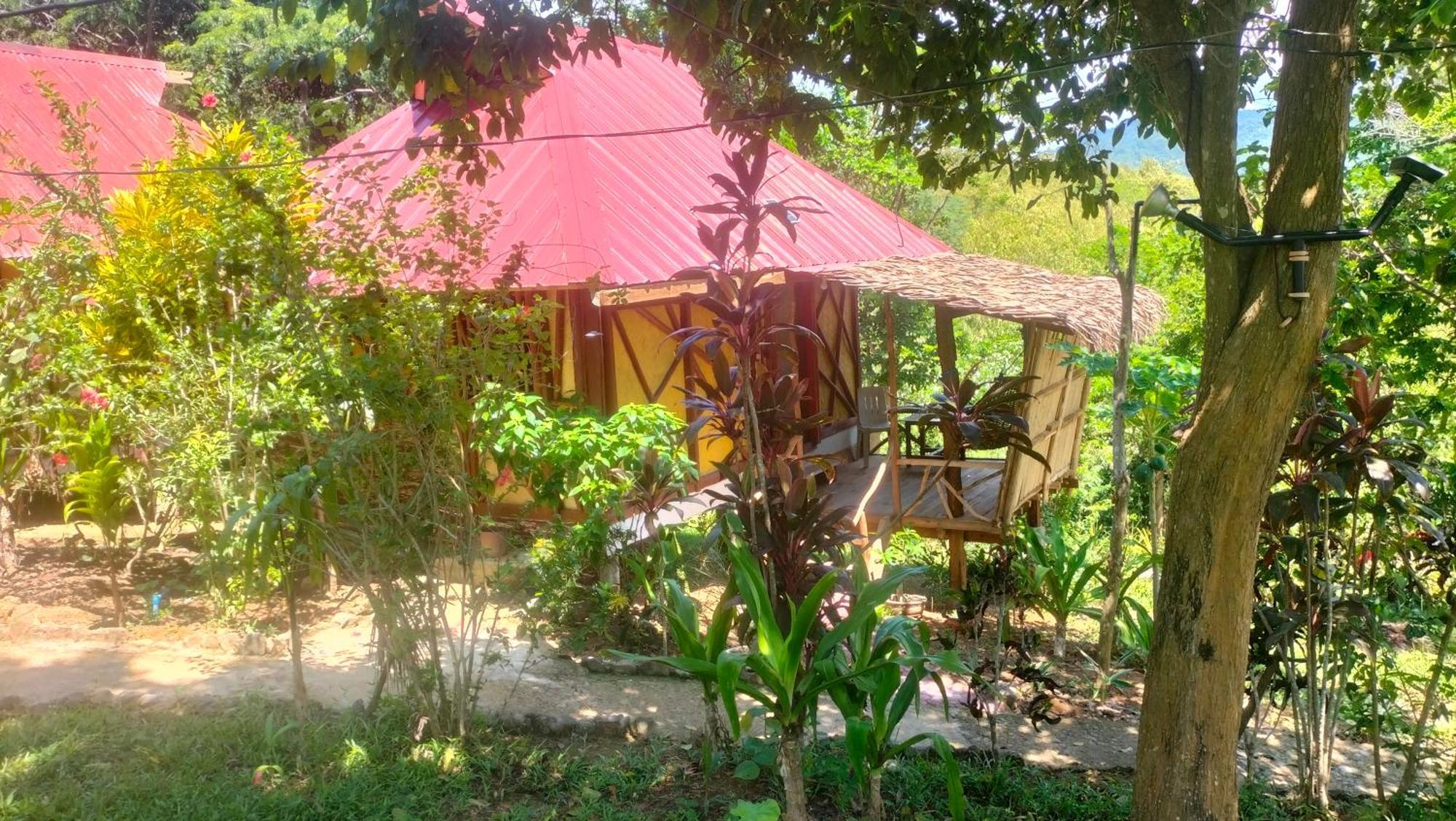 Erlittop Nature Lodge 엘니도 외부 사진