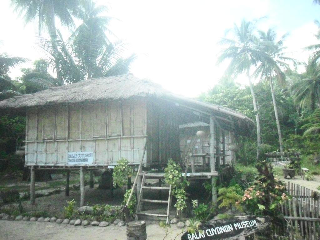 Erlittop Nature Lodge 엘니도 외부 사진